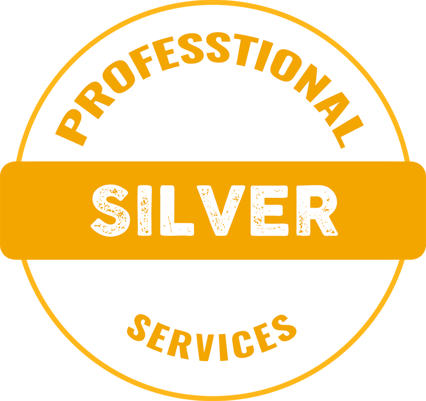 Professional Services Silver